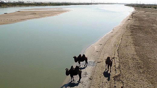 Der Aralsee ohne Wasser