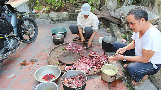 Asiens Appetit auf Hundefleisch