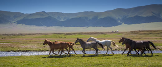 Die lfrdernden eurasischen Flchenlnder, hier Kasachstan, auf Platz zwlf der weltweiten lreserven, knnten es ebenso machen: Nur hier ist gengend Platz fr wirklich umfangreiche Windkraft- und Photovoltaikanlagen vorhanden.