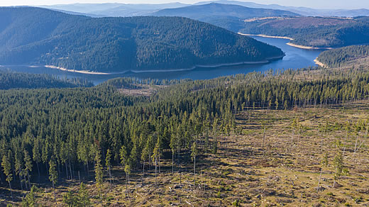 Das Brasilien der EU: Rumnien holzt seinen Urwald ab