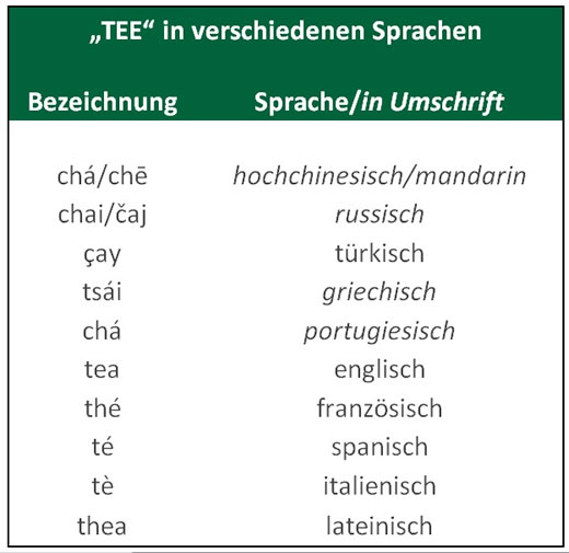 Tee in verschiedenen Sprachen